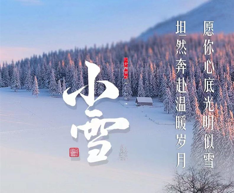 初心如雪見天地靜待寒區萬物生